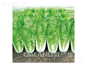 �r(n��ng)��22��-��˷N��-�W�m��