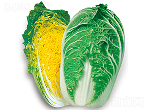 �n�Ƕ���-��˷N��-�W�m��