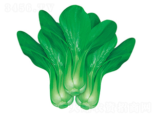 �W��303-�๣�˷N��-�W�m��