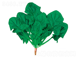 ���G-���˷N��-�W�m��