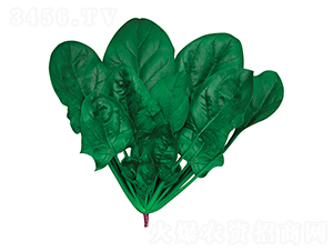 �~����-���˷N��-�W�m��