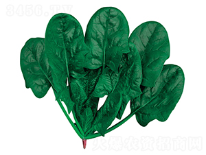 �ʼҺ���-���˷N��-�W�m��