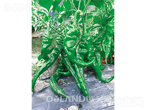 ���r(n��ng)�ݽz��-�ݽz���N��-�W�m��