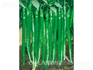 ����003-�����N��-�W�m��