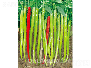 �S��ؐ-�����N��-�W�m��