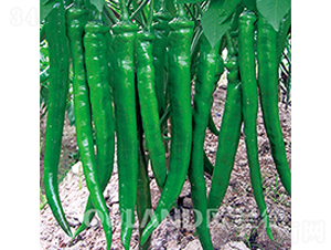 ��Ʒ��ؐ-�����N��-�W�m��