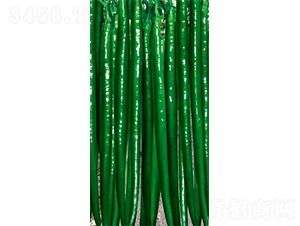 �W��314-�����N��-�W�m��