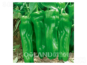 �W�������܊-�����N��-�W�m��