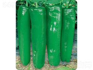 ���ώ�7̖�L��-�ݽ��N��-�W�m��