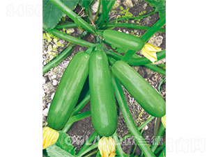 ���_��-�����J�N��-�W�m��