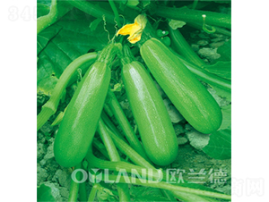 �߿�¶�ع�܊-�����J�N��-�W�m��