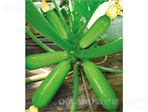 ������-�����J�N��-�W�m��