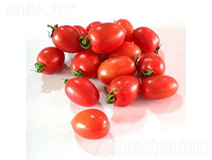 ���}��1136-���ҷ��ѷN��-�W�m��