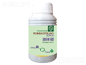 Һ�w��-����