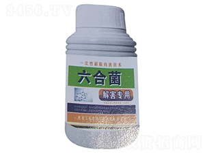 ���Ͼ����⺦���ã�-����