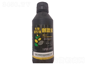 ΢����̼���-����