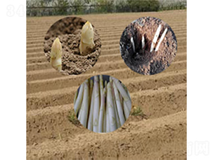 ���m�׹S��-�J�S�N��-���r(n��ng)����