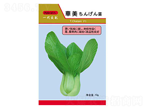 �A��-��˷N��-�P���r(n��ng)�I(y��)