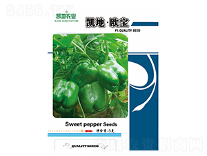 �P�ؚW��-�����N��-�P���r(n��ng)�I(y��)