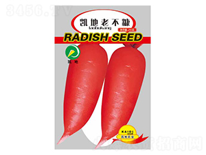 �P���ϲ���-�}���N��-�P���r(n��ng)�I(y��)