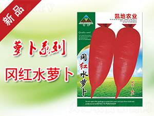 ���tˮ�}��-�}���N��-�P���r(n��ng)�I(y��)