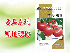 �P��Ӳ��-���ѷN��-�P���r(n��ng)�I(y��)