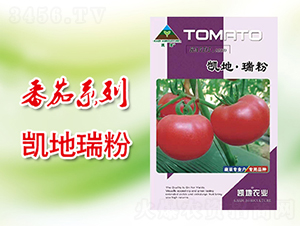 �P�����-���ѷN��-�P���r(n��ng)�I(y��)