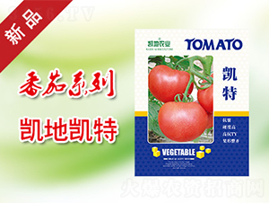 �P��-���ѷN��-�P���r(n��ng)�I(y��)