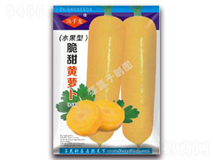 �����S�}��-�}���N��-�����N�I(y��)