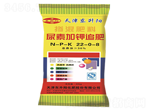 ���ؼ��׷��22-0-8-�|���