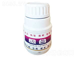 �����ޏ�(f��)��-����-����