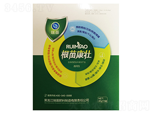 ���翵��-����