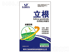 ΢���￹��������-����-����