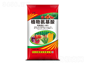 ֲ�ﰱ����-�ӱ����