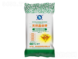 ��ጓ������25-11-10-��l(f��)�ʘI(y��)