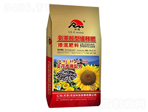 �������Ó������13-8-17-�ʬ�