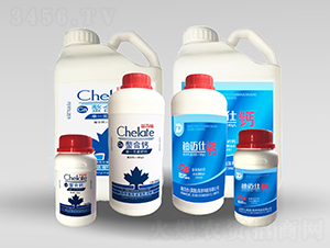 �����}-�����ʘI(y��)