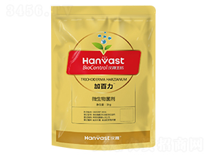 ΢�������-�Ӱ���-�h΢����