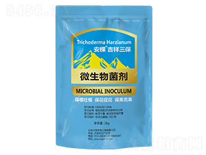 ΢�������-����-��������-�h΢����