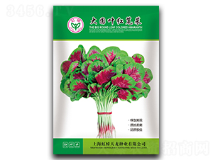 ��A�~�t�{��-�{�˷N��-�����N�I(y��)