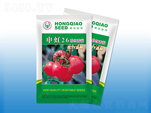 ���26-���ѷN��-�����N�I(y��)