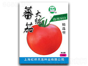 ����903-���ѷN��-�����N�I(y��)