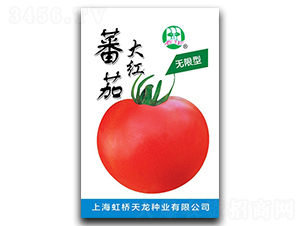 �o(w��)���ʹ�t����-���ѷN��-�����N�I(y��)