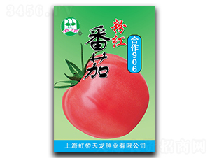 ����906-���ѷN��-�����N�I(y��)