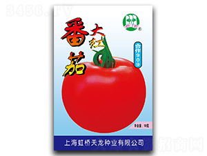 ����909-���ѷN��-�����N�I(y��)