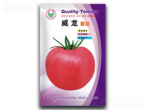 ����-���ѷN��-�����N�I(y��)