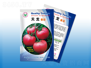 ����-���ѷN��-�����N�I(y��)