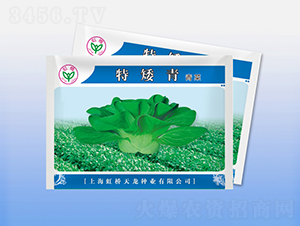 �ذ���-�๣�˷N��-�����N�I(y��)