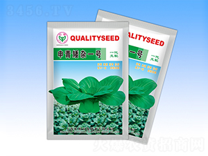 ���ఫ�sһ̖-�๣�˷N��-�����N�I(y��)