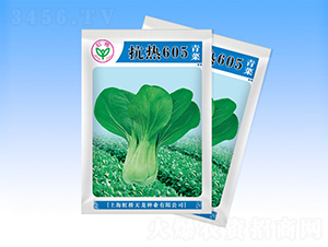 ����605-�๣�˷N��-�����N�I(y��)